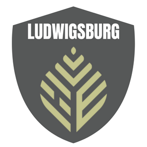 Versicherungen und Versicherungsmakler Ludwigsburg